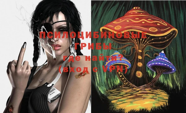 мет Белокуриха