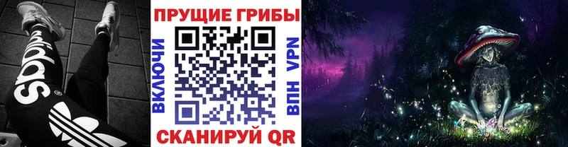 Галлюциногенные грибы мицелий  Кумертау 